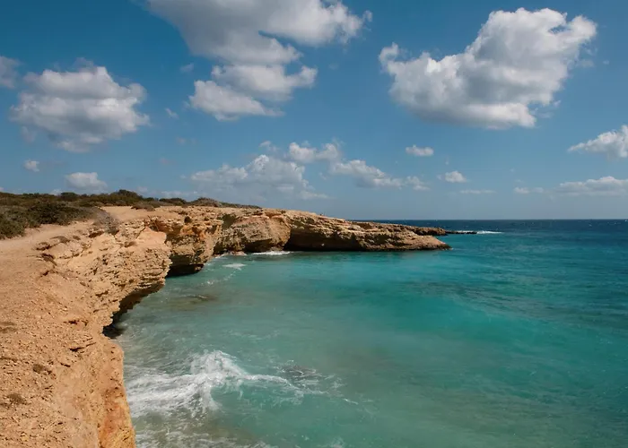 Dafnis Koufonisia